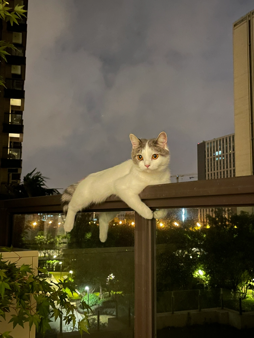 奴才:二樓也很危險的囉