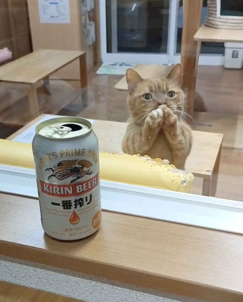 奴才：這個你還真的不能喝喔