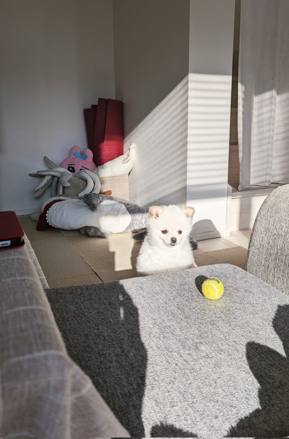 奴才：你幹嘛一動不動的？