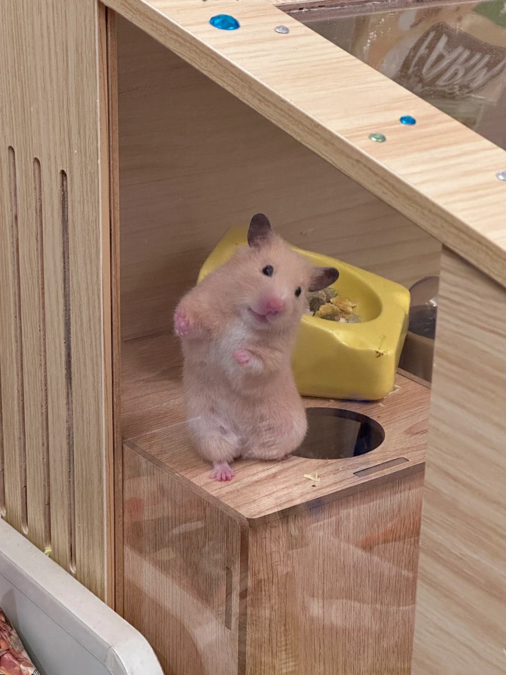 奴才：你小心閃到腰