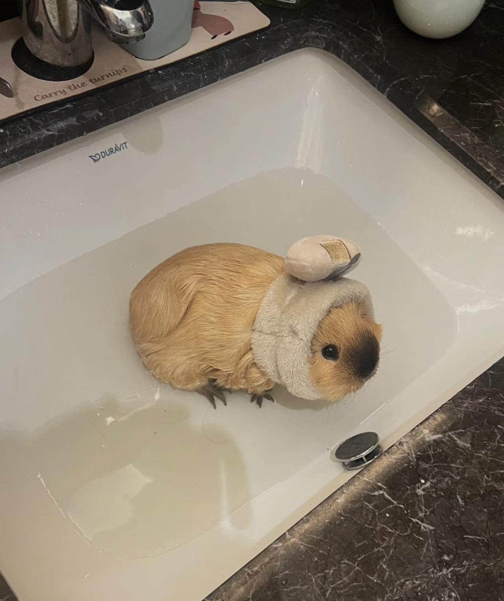 奴才：可以多泡一下啦