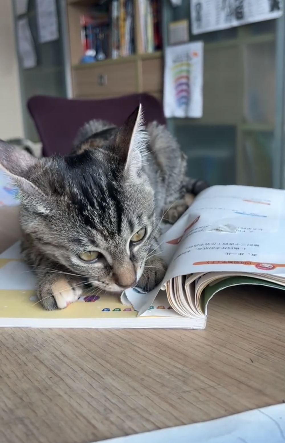 奴才:這樣沒用啦