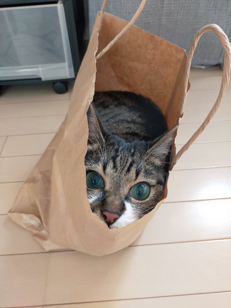 奴才：送你好了～