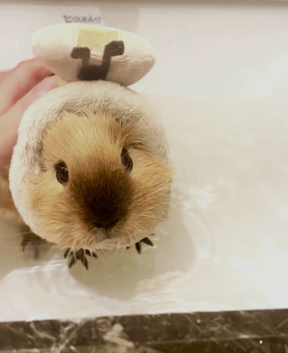 奴才：喜歡的話下次再讓你泡喔