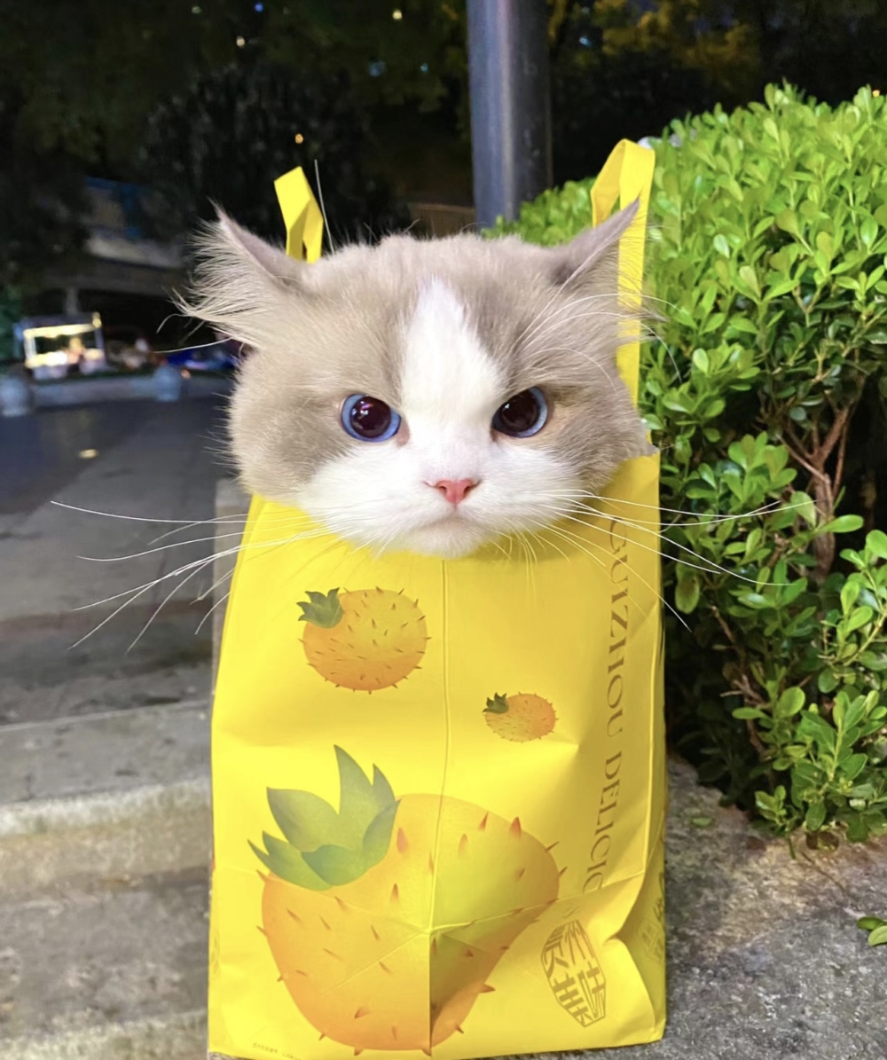 奴才：別那麼小氣啦