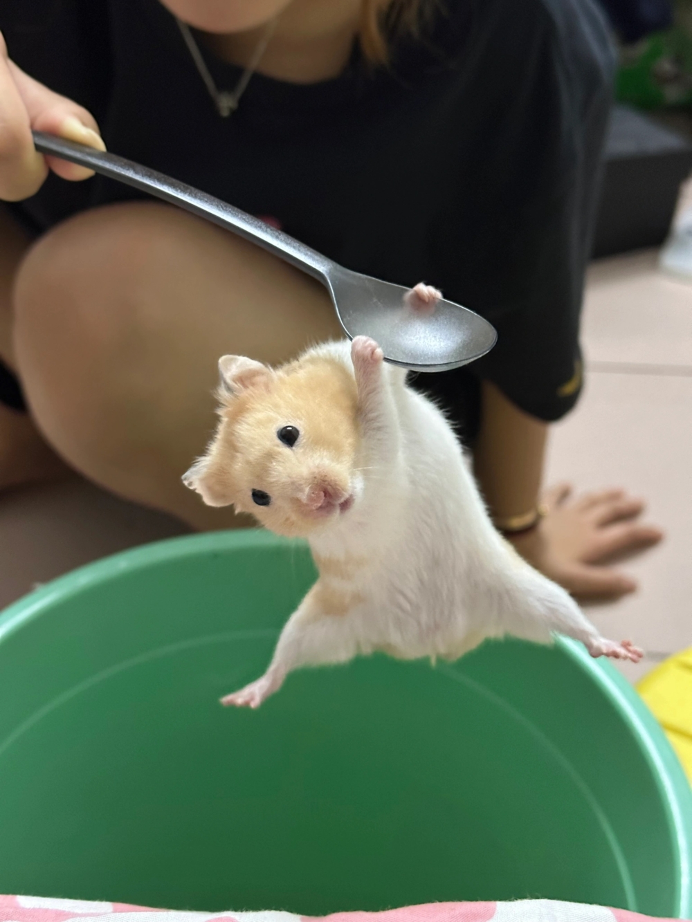 奴才：哇噻！你把主意打到我這裡囉