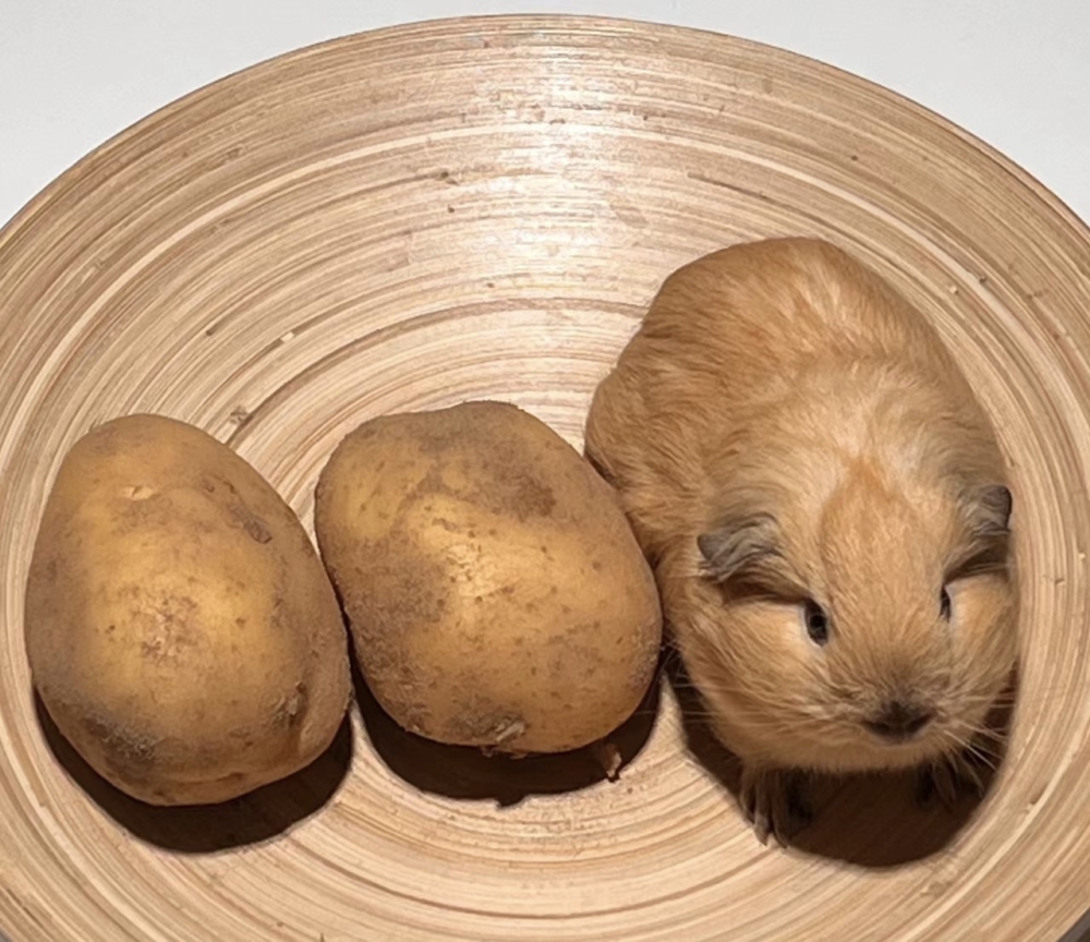 奴才：不會啦！手感不一樣啊