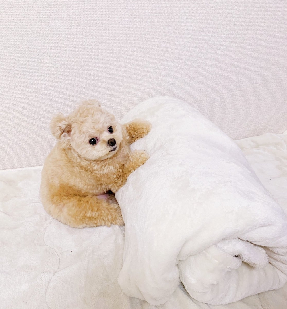 奴才：你是有一個音樂夢想嗎？