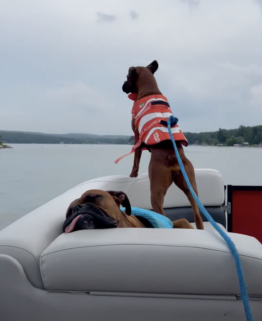 奴才：有沒有很開心