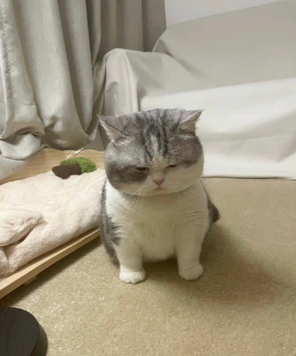 奴才：知道啦～