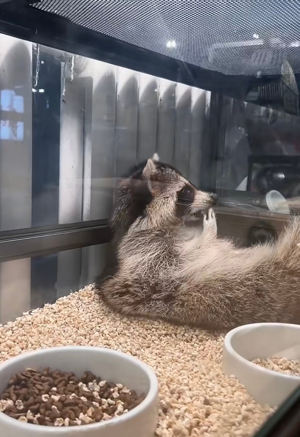 奴才：對啦～不行喔