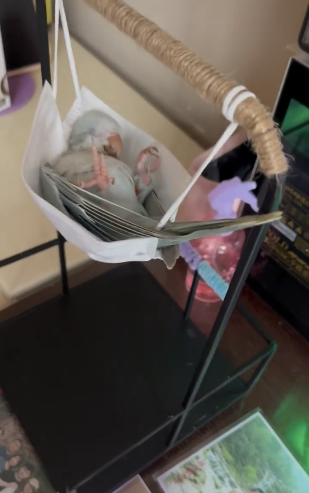 貴不貴不重要，最重要這是奴才親手製作的喔！