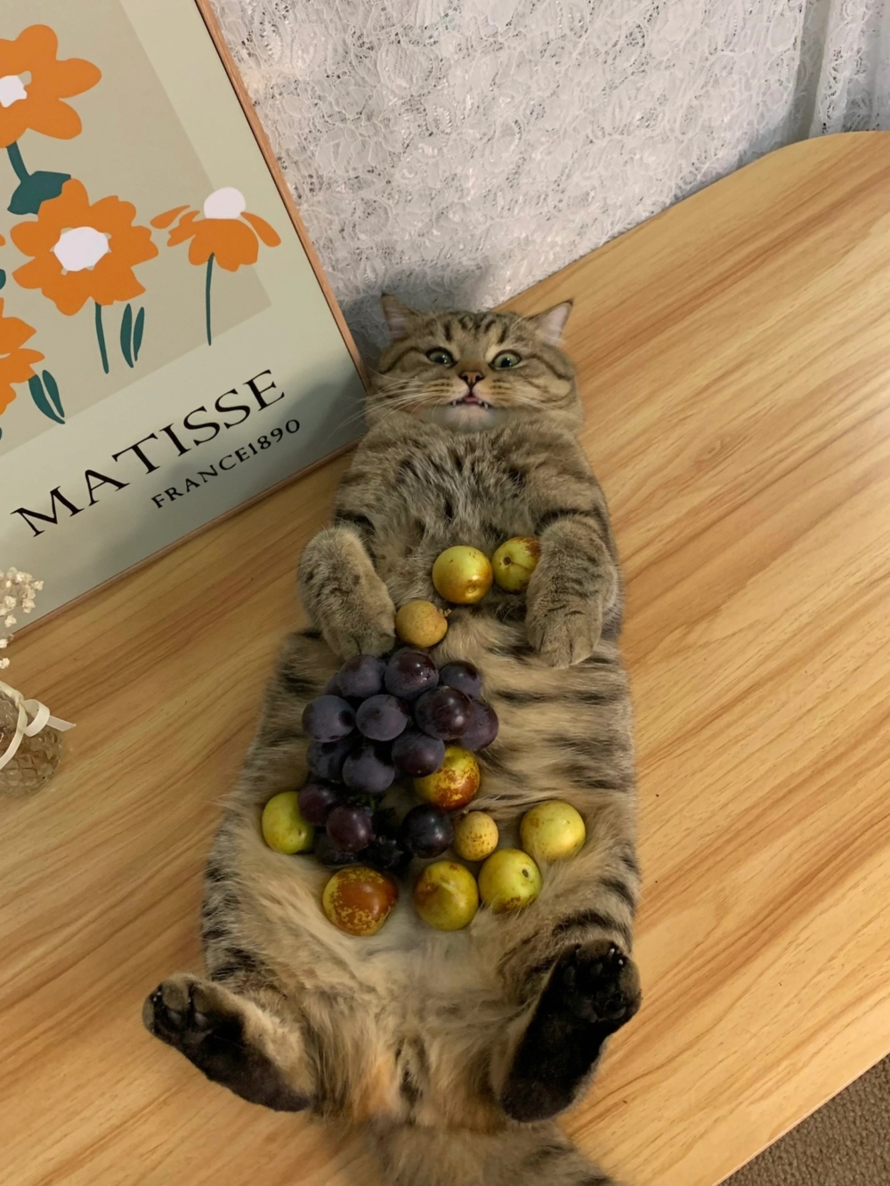 奴才：說的好像是我逼你似的