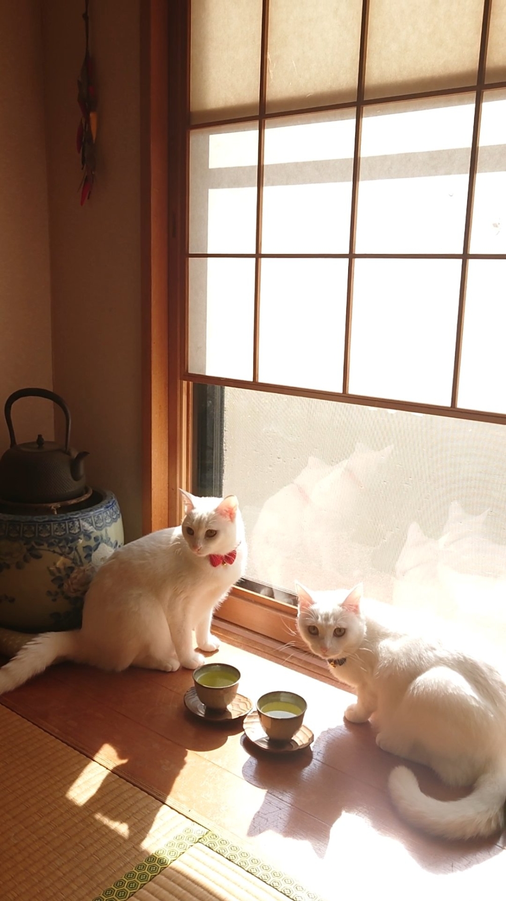 奴才：不錯！要保持住喔