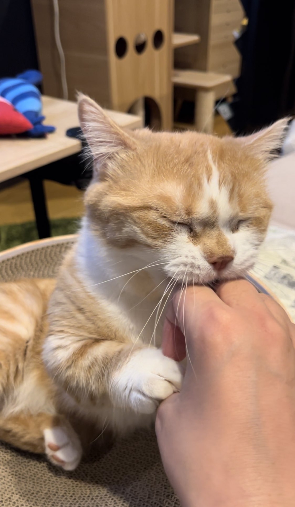 奴才：你是認真的嗎？