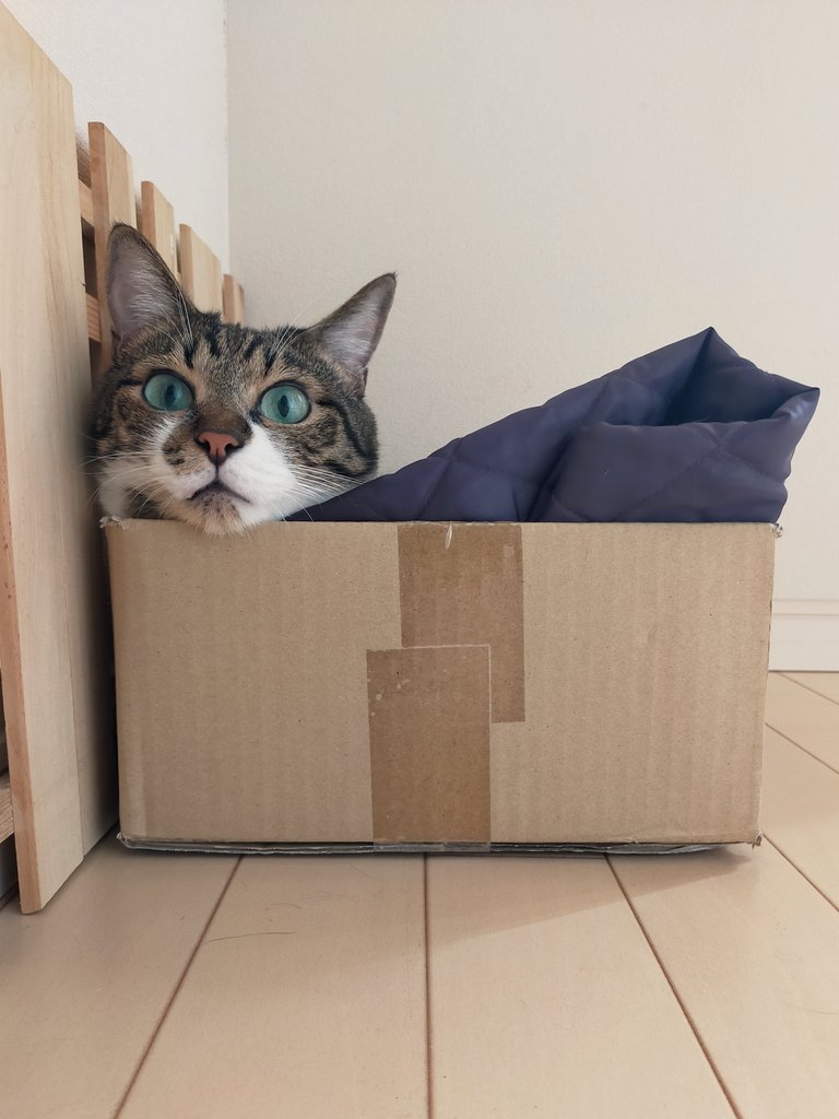 奴才：我平時也沒有很小氣吧