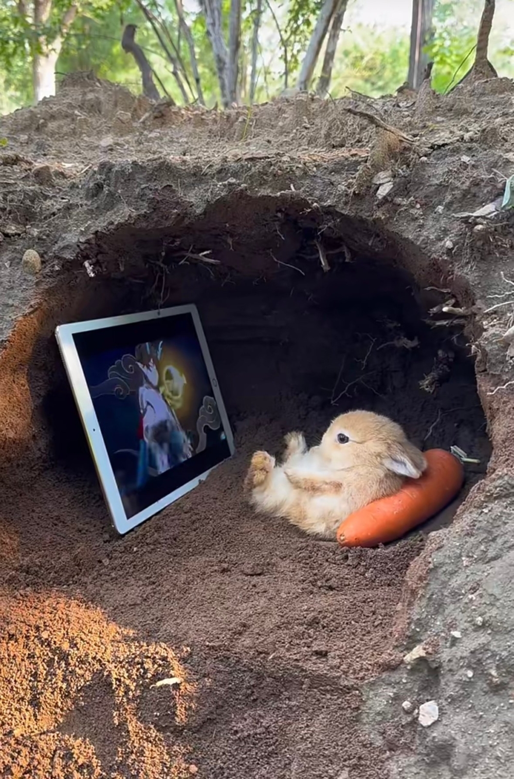 奴才：看著好爽啊