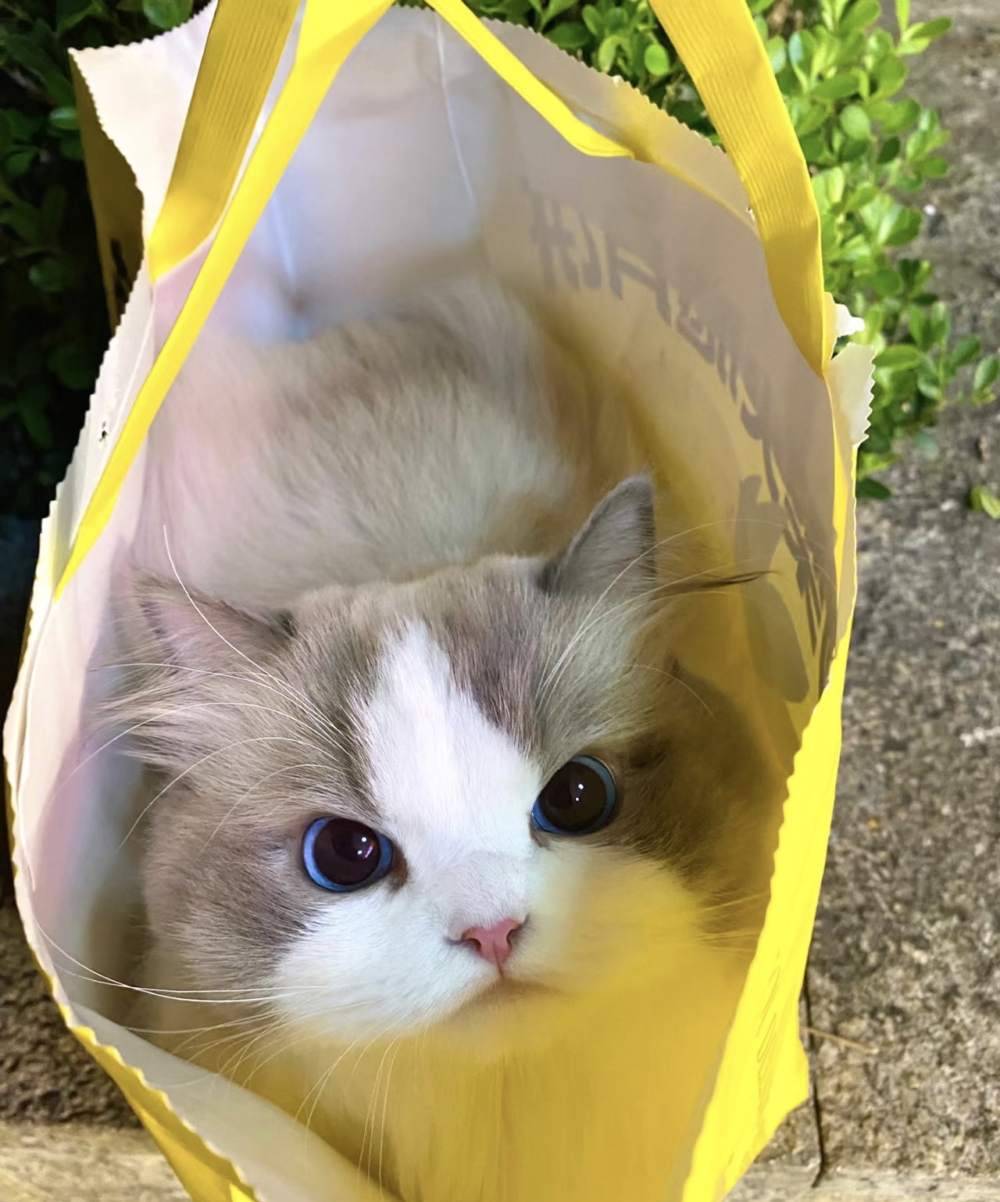 奴才：人家也是覺得你可愛啊