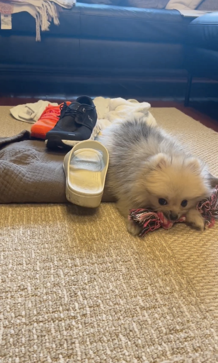 奴才：但是你也穿不了啊