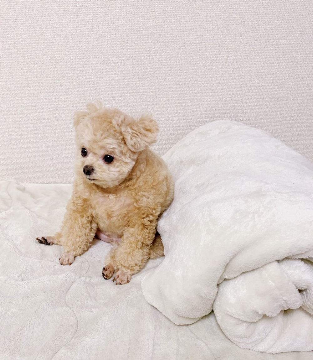 奴才：你無論是什麼身份我都會很愛你噠～