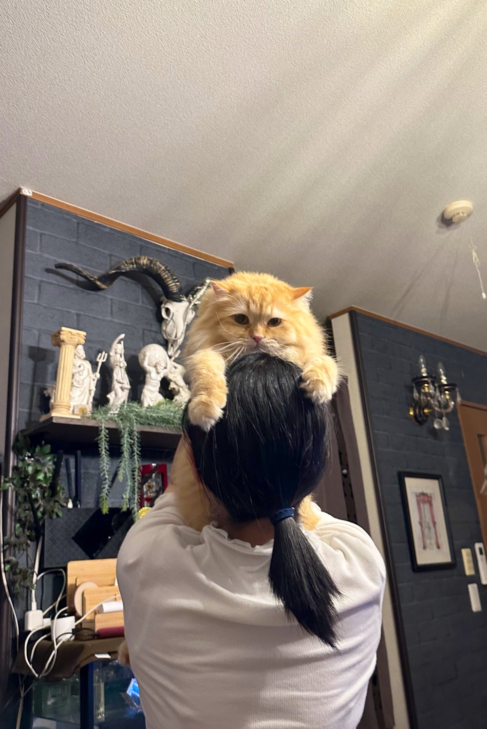 奴才：真會抬高自己捏