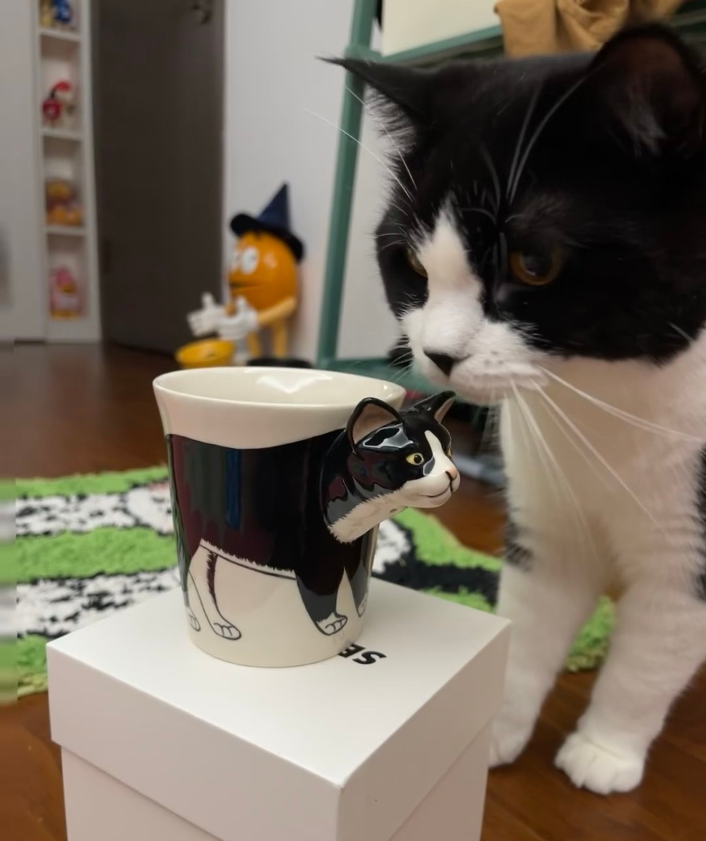 奴才：當然是你囉