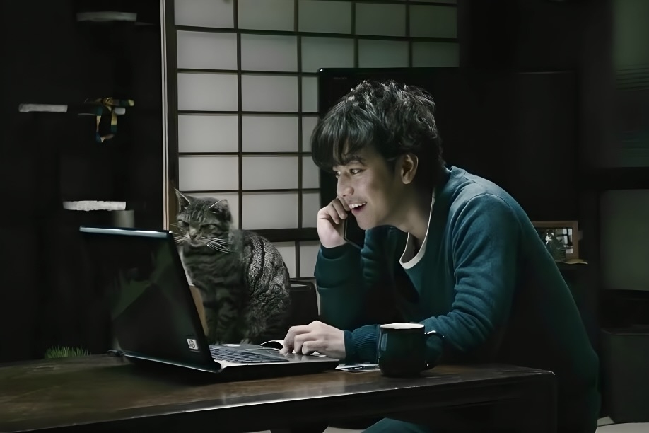 男主角與貓咪高麗菜