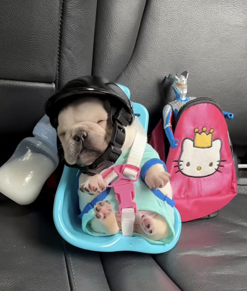 奴才：就是專門買給你的啊