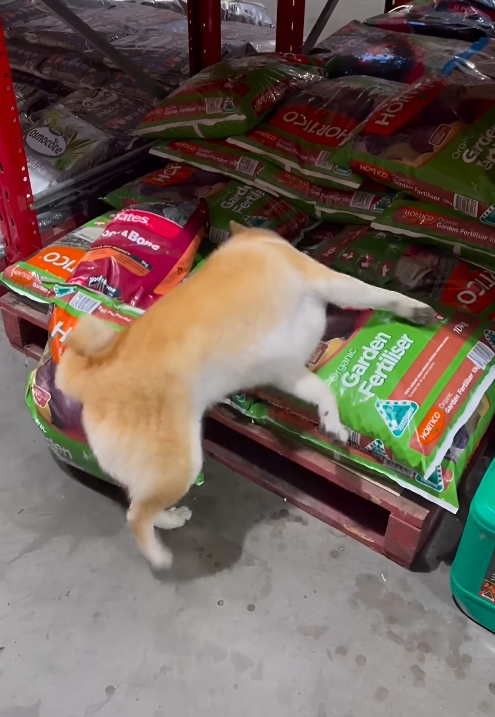 奴才：行～這一次算你贏了