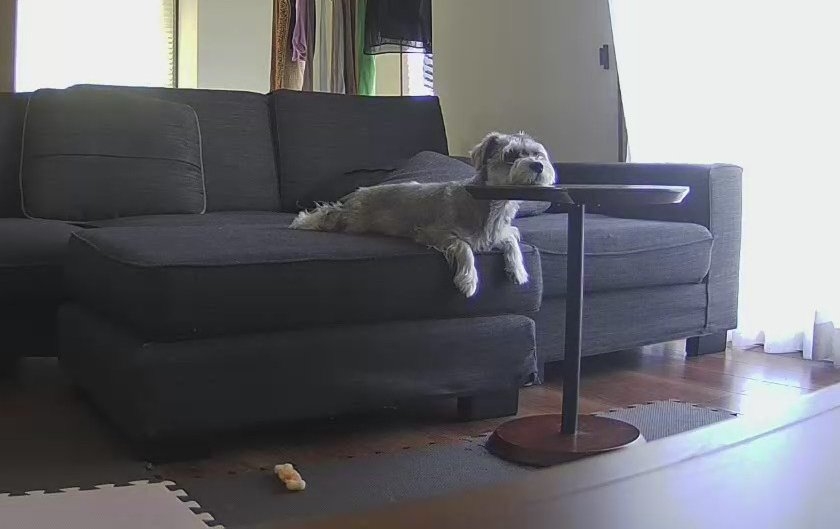 奴才:原來你那麼想要我出門喔