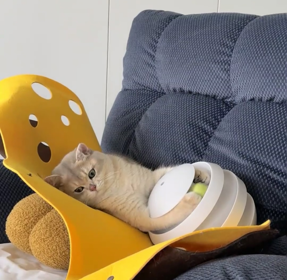 奴才：你今天怎麼了