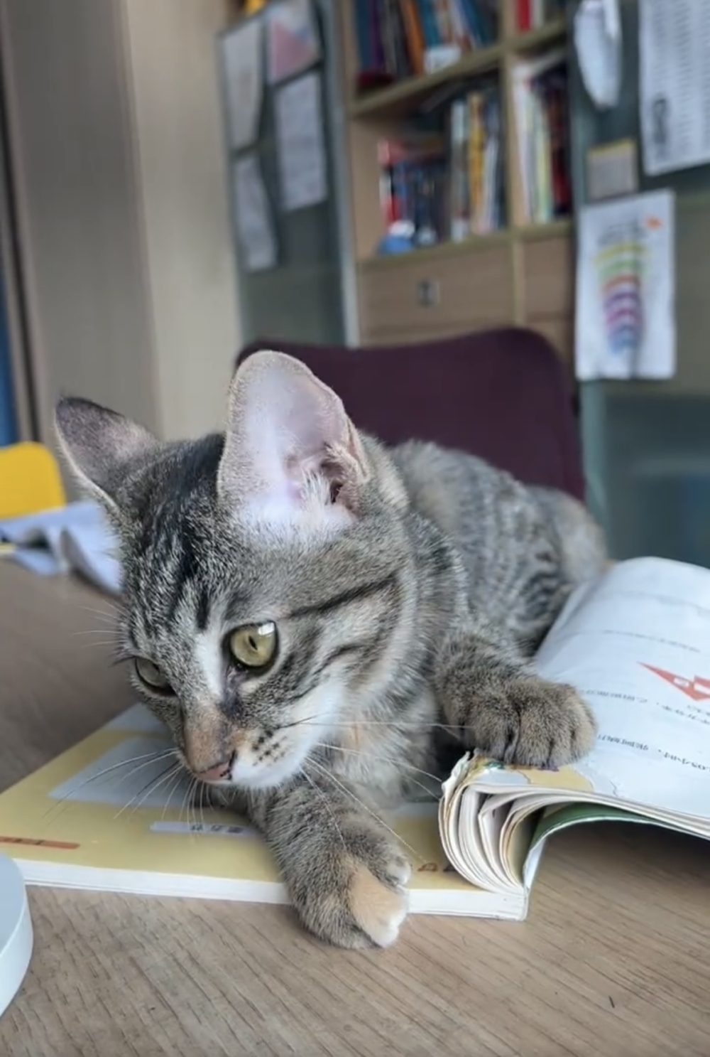 奴才:你自創的喔