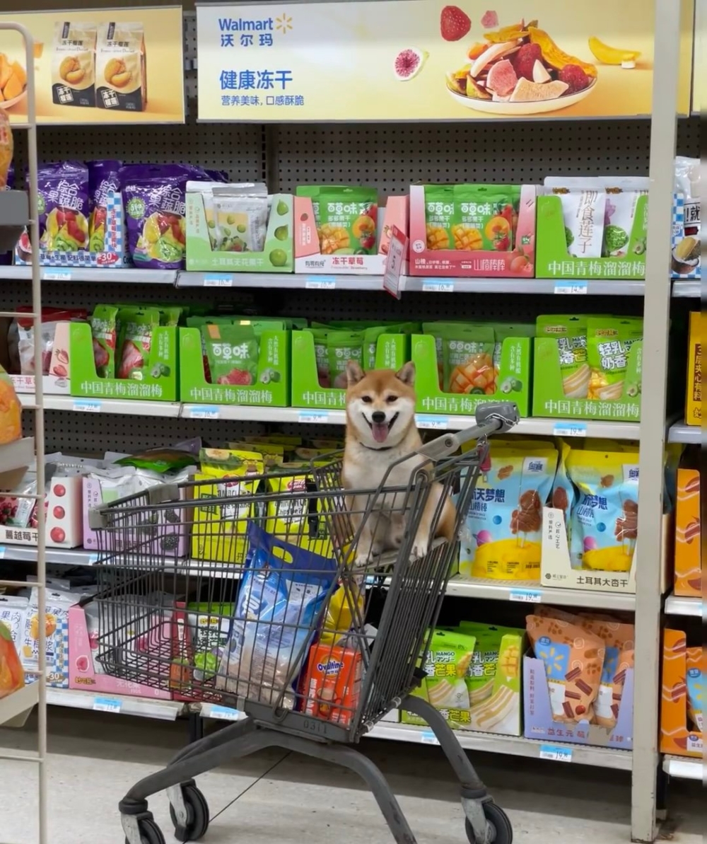 奴才：剛剛真是為難你了