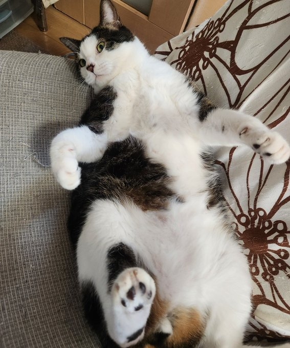 奴才:完了,有把柄在你手上了