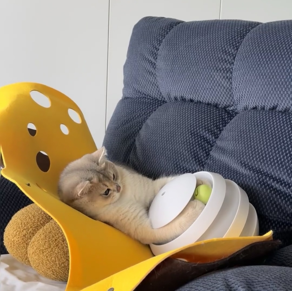 奴才：那你快睡吧～