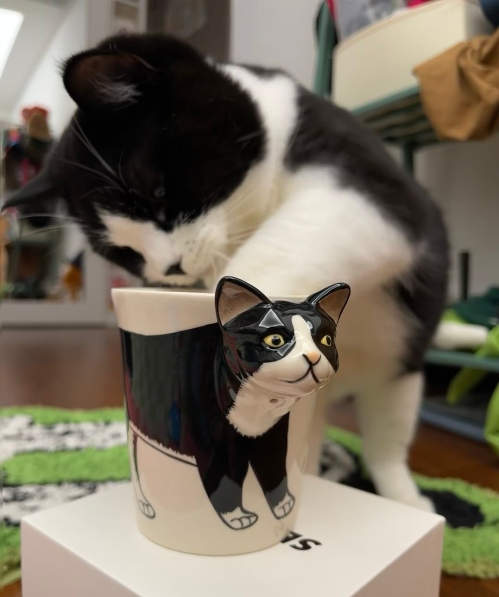 奴才：我是太愛你的表現欸～