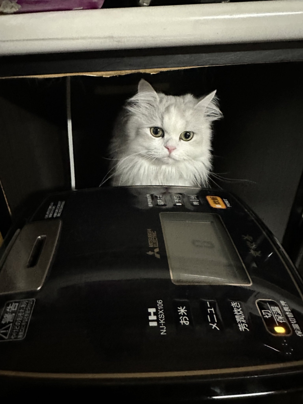 奴才：你別想偷吃喔