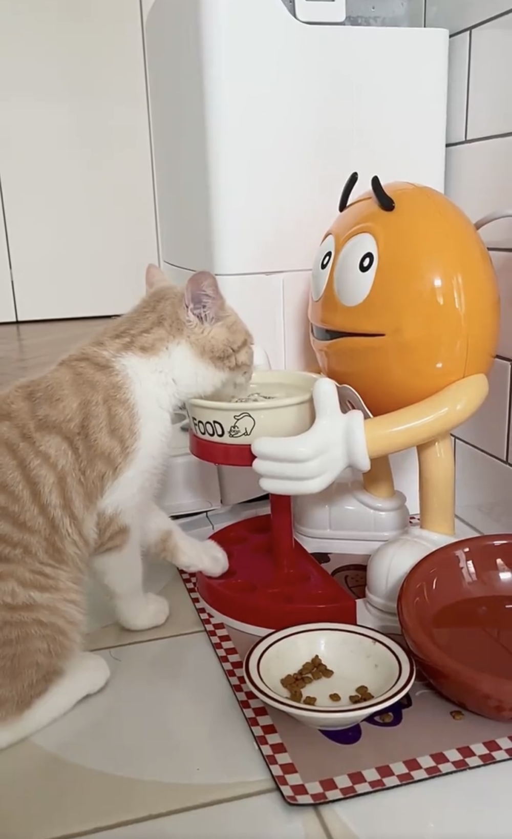 奴才：真會抬高自己