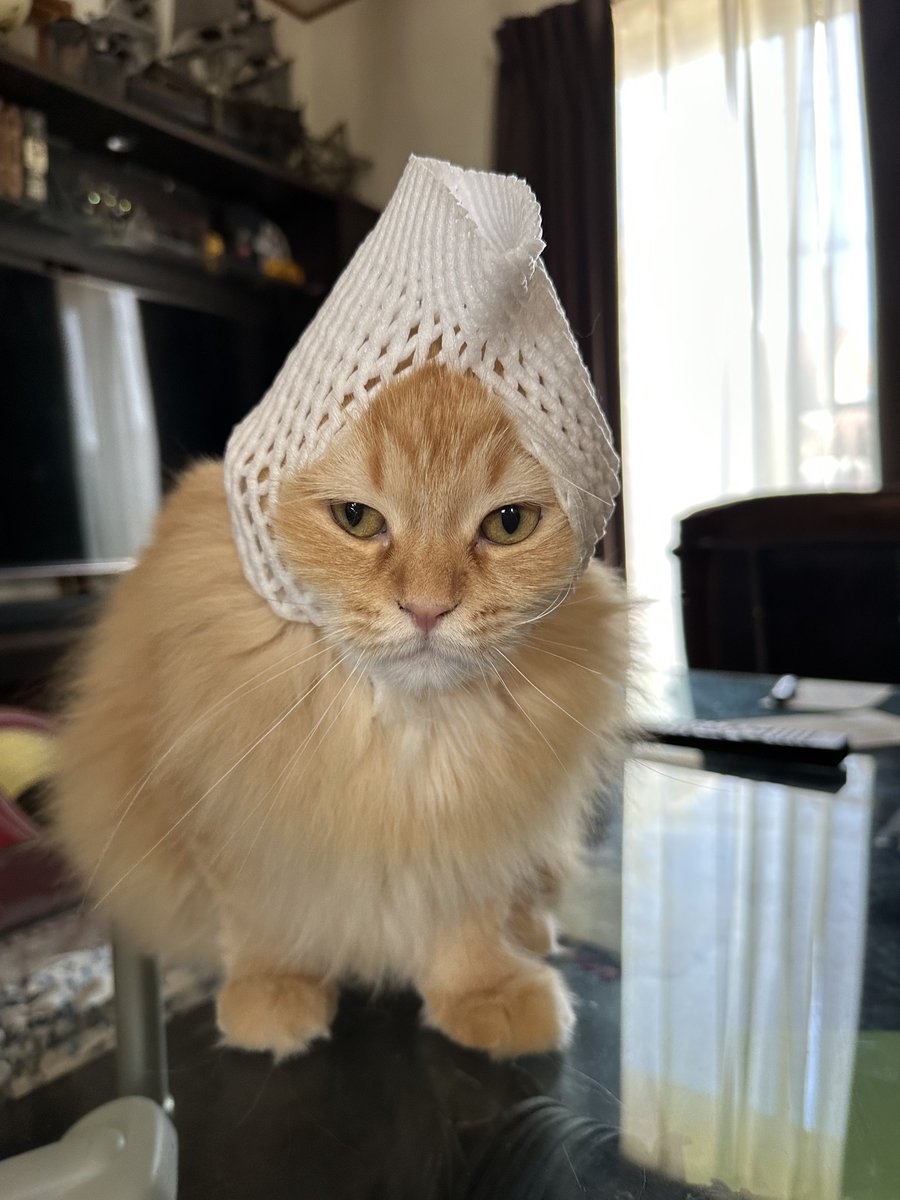 奴才：不得不服啊