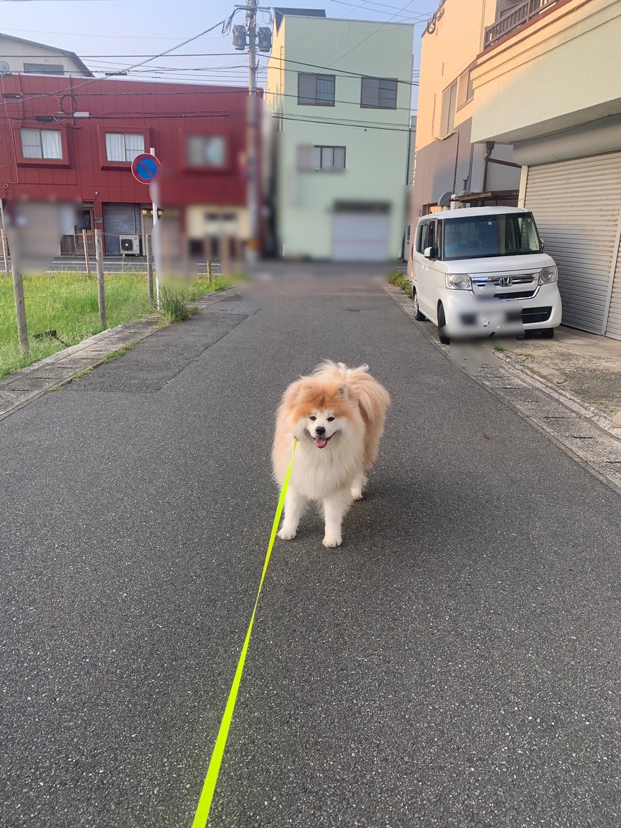 奴才：別擔心，我還是會抱你的