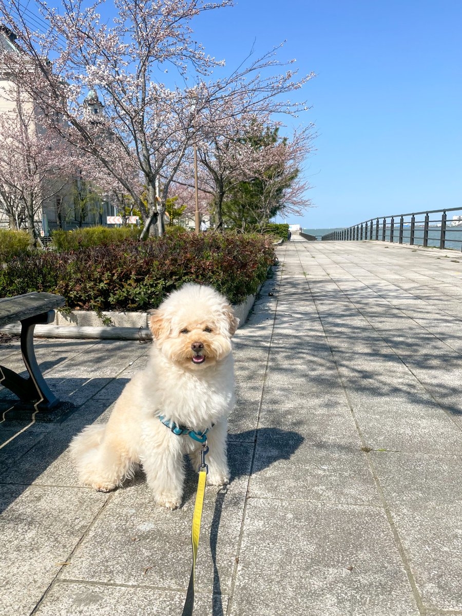 奴才：咦～你好敢說喔