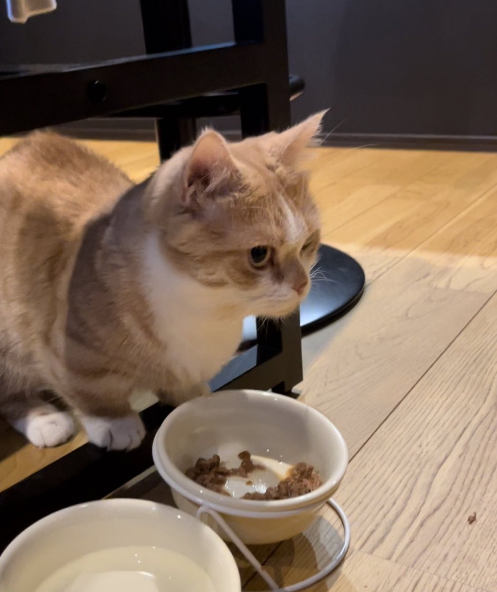 奴才：你也不擔心我的手骯髒喔