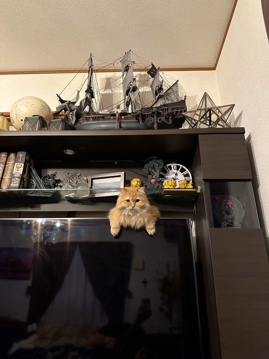 奴才：還行吧～