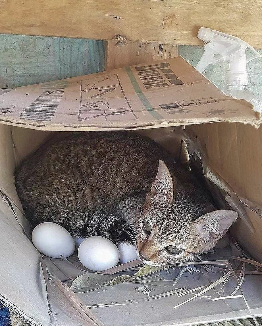 奴才：你別那麼自私啦