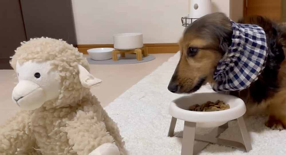 奴才：還真的很會自尋樂趣呢