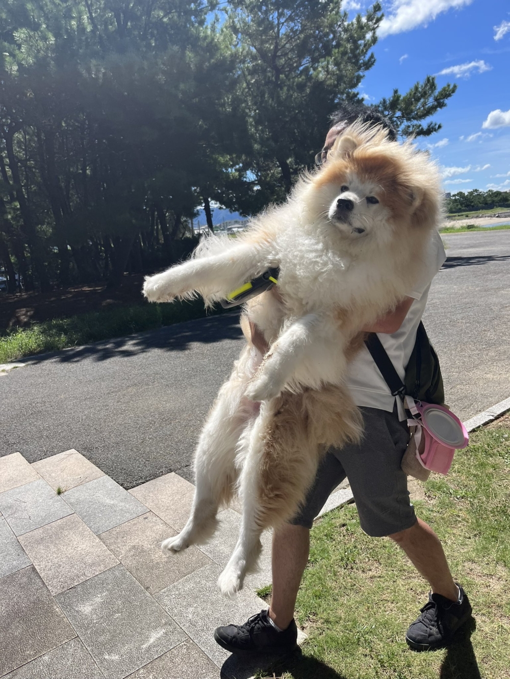 奴才：那你想怎麼樣喔？