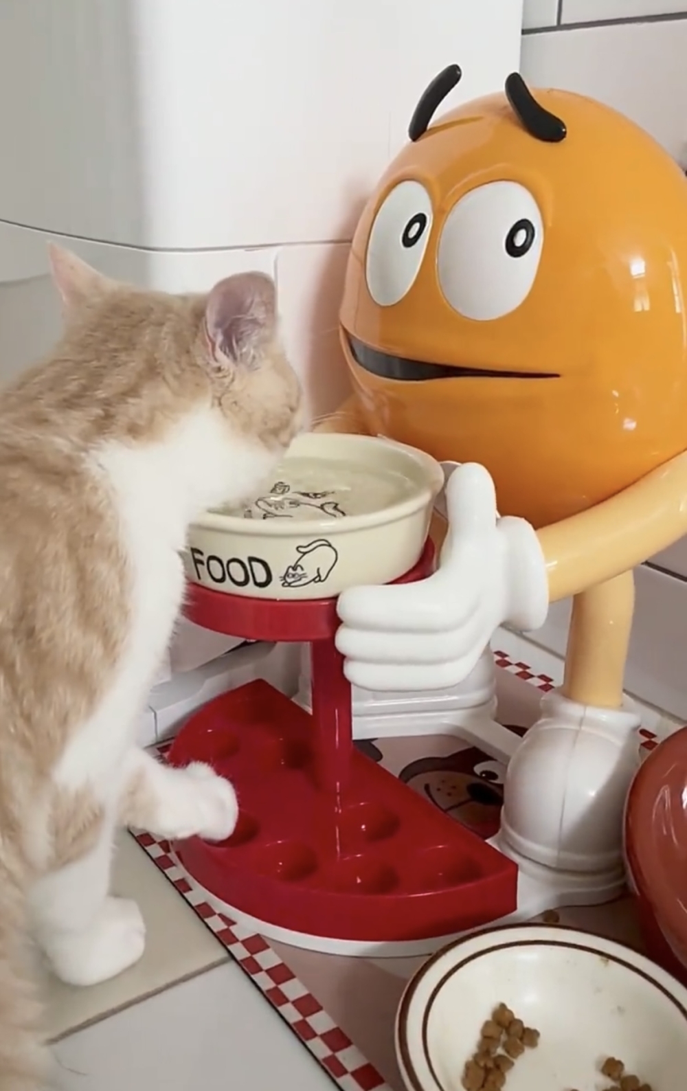 奴才：沒事，你快喝水吧