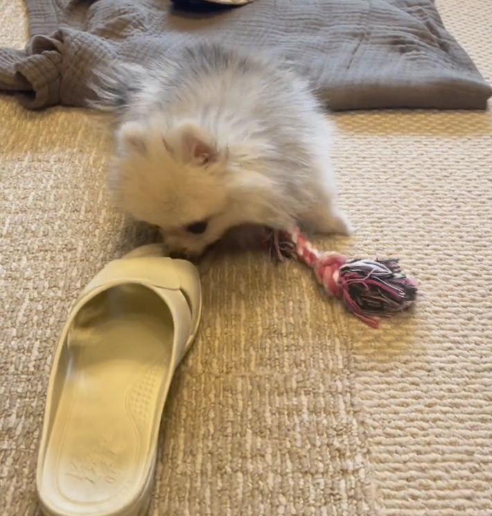 奴才：就是提醒你一下而已啦