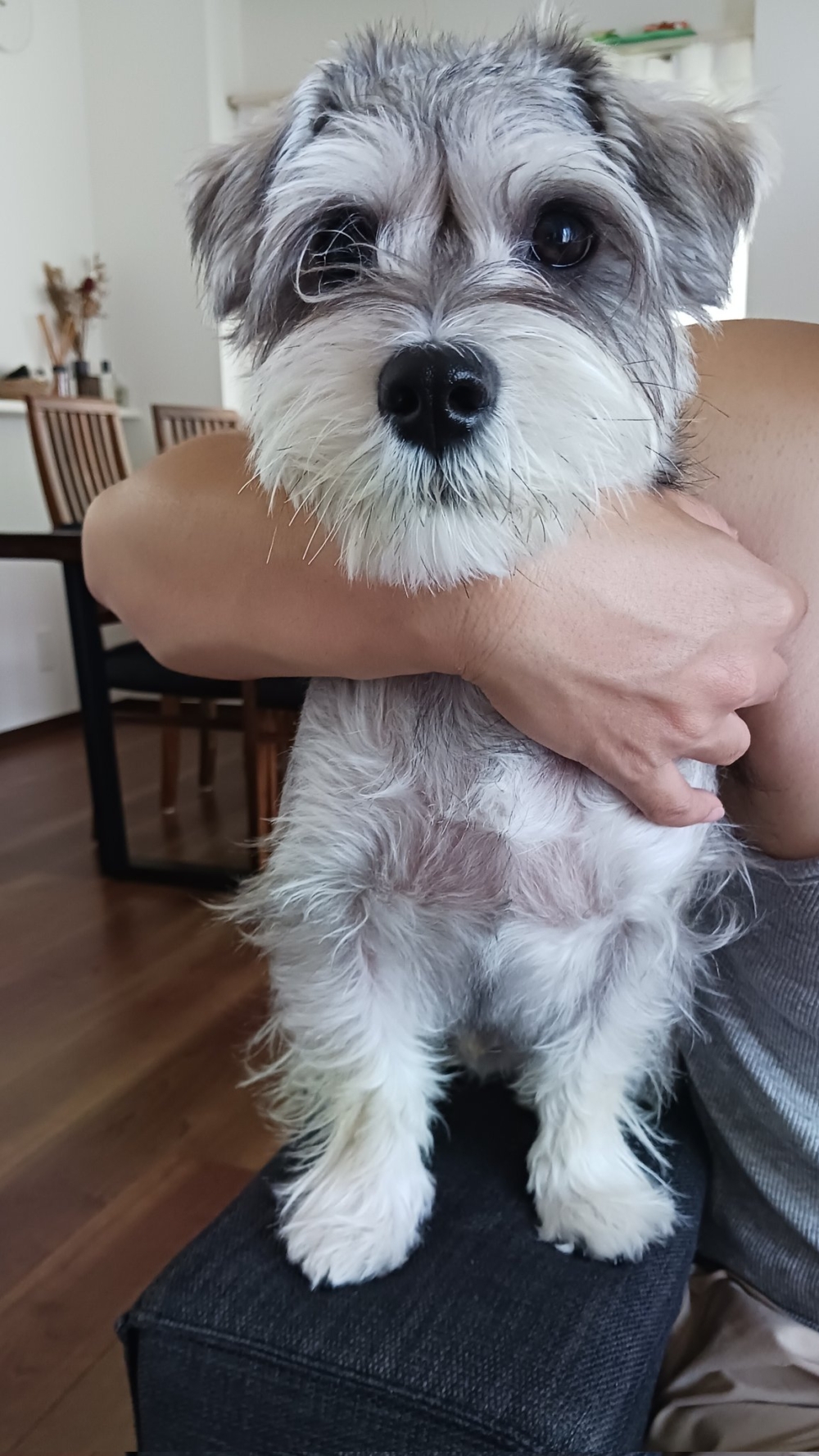 奴才:我平時也沒有限制你呀