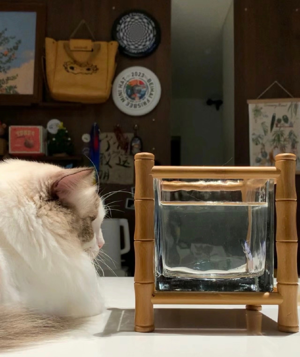 奴才：你先別生氣啦